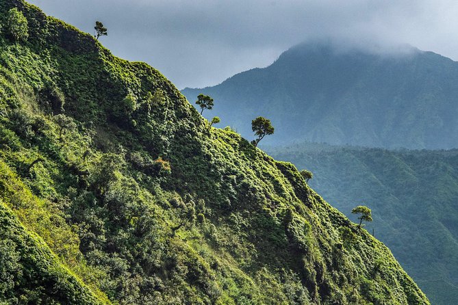 Kauai Eco Adventure Helicopter Tour - Waimea Canyon and Olokele: The Grand Canyon of the Pacific From Above