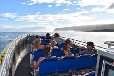 Kauai: Na Pali Coast Super Raft Snorkel Adventure - Wildlife spotting is part of the itinerary, not a bonus