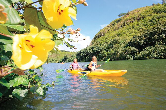 Kauai: Secret Falls Kayak and Hike - Price and Value: Is $125 Worth It?