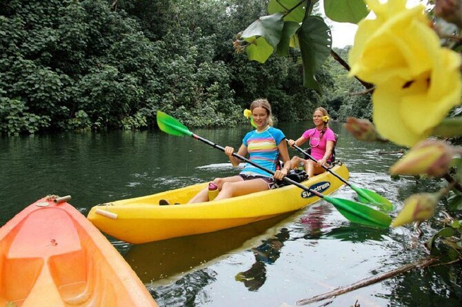 Kauai: Secret Falls Kayak and Hike - Hitting the Trail: Rainforest Hike to Secret Falls (Uluwehi)