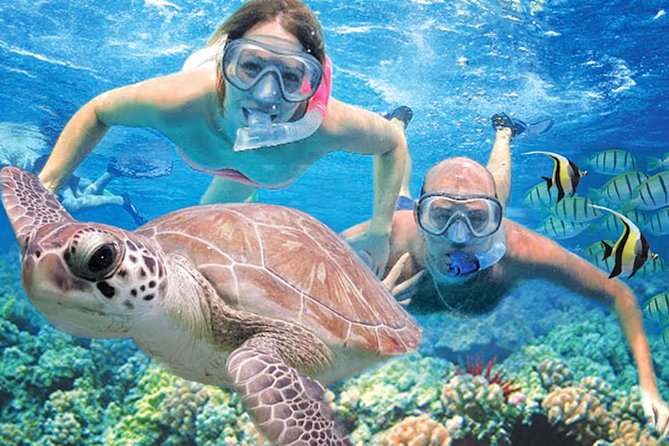Kauai’s Ultimate Guided Shore Snorkel in South Poipu - Key things I’d bet on