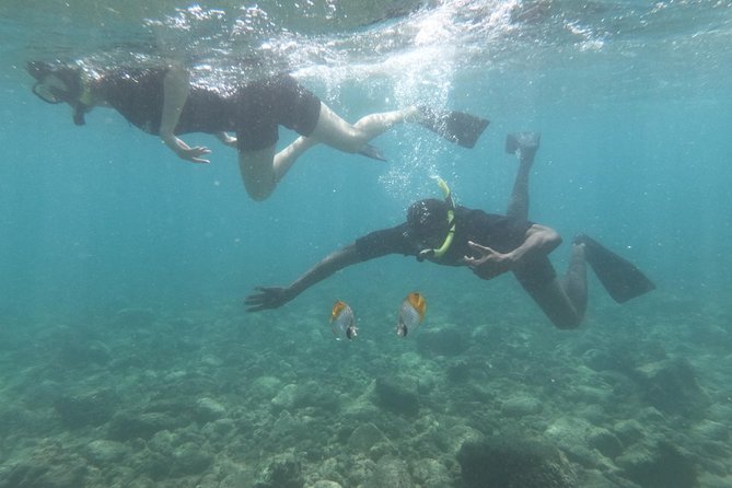 Kauai’s Ultimate Guided Shore Snorkel in South Poipu - Price and Value: What You’re Really Paying for at $119.80