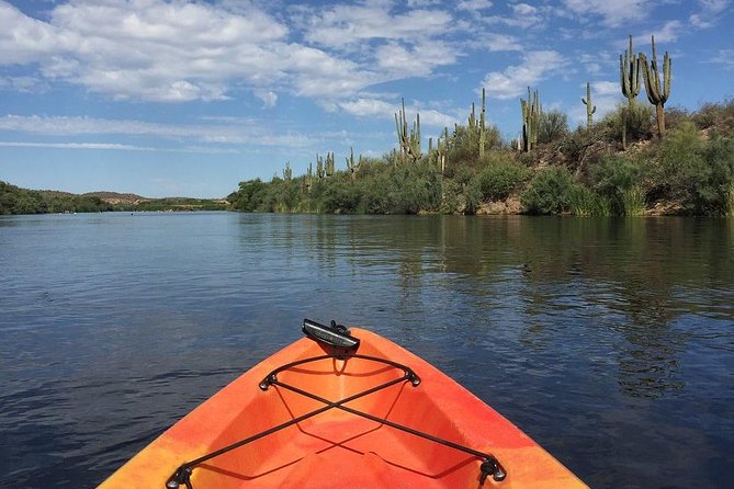 Kayaking the Salt River Foxtail Trip - Key Highlights You’ll Feel on the Water
