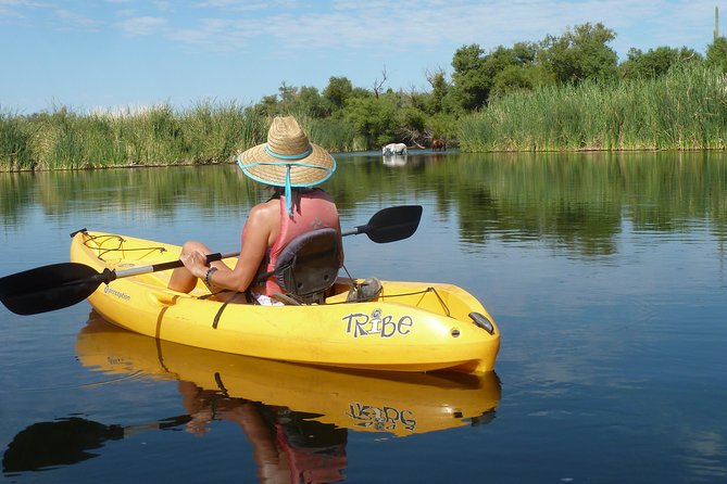 Kayaking the Salt River Foxtail Trip - First Stop: Saguaro Lake Guest Ranch and the Mandatory Safety Brief