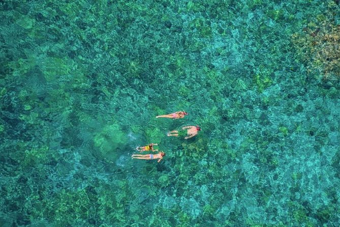 Kealakekua Bay Afternoon Snorkel: Family Fun on the Kona Coast - Practical tips to make your afternoon smoother