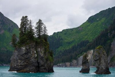 Kenai Fjords and Resurrection Bay Half-Day Wildlife Cruise - Cape Resurrection: sea lions, seabirds, and a coastline built for wildlife