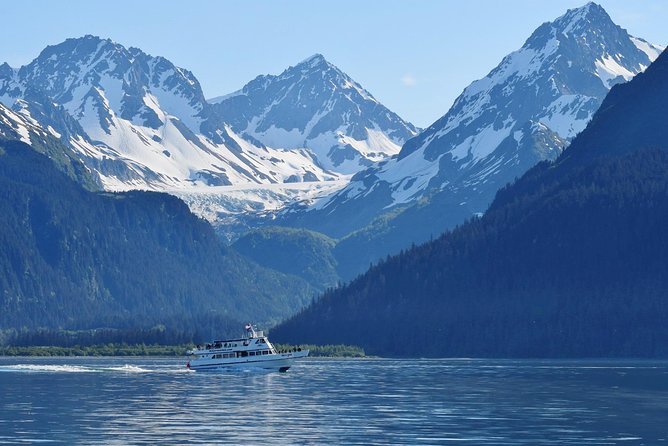 Kenai Fjords and Resurrection Bay Half-Day Wildlife Cruise - Check the value: is $165.93 worth it for a half-day cruise?