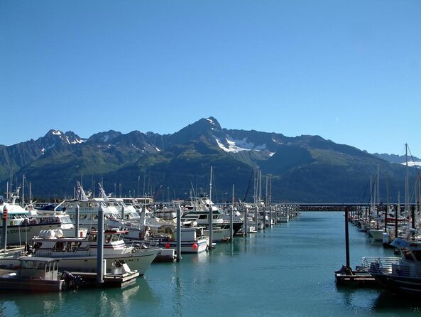 Kenai Fjords and Resurrection Bay Half-Day Wildlife Cruise - Who this cruise suits best (and who should think twice)