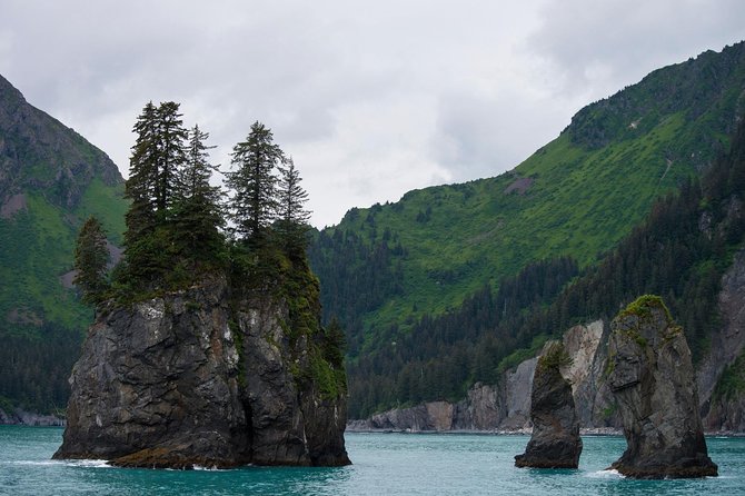 Kenai Fjords and Resurrection Bay Half-Day Wildlife Cruise - Cape Resurrection: sea lions, seabirds, and a coastline built for wildlife