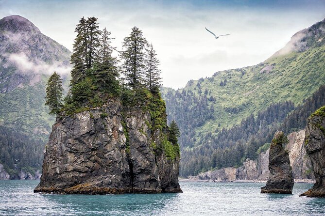 Kenai Fjords National Park Glacier & Wildlife Tour from Seward - Key takeaways before you go