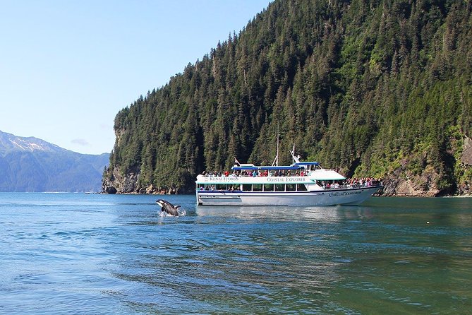 Kenai Fjords National Park Glacier & Wildlife Tour from Seward - Aialik or Holgate glaciers: what calving means for the experience