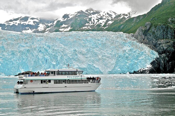Kenai Fjords National Park Glacier & Wildlife Tour from Seward - Price and value: is $223.85 fair for this Alaskan day?