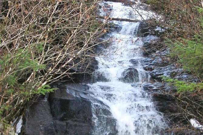 Ketchikan All In One - Who should book this tour (and who might skip it)