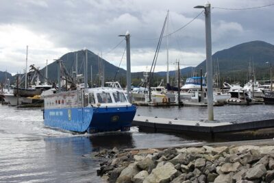 Ketchikan Duck Tour - The harbor cruise: calm waters, wildlife chances, and photo-friendly pacing