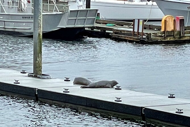 Ketchikan Duck Tour - Weather and timing: inside passage calm, but still plan for cancellations