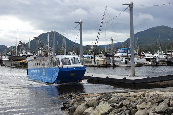 Ketchikan Duck Tour - The harbor cruise: calm waters, wildlife chances, and photo-friendly pacing
