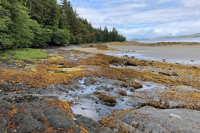 Ketchikan Electric Bike and Rain Forest Hike Ecotour - The Tongass Hike: Wet Forest, Steps, and Coastal Views