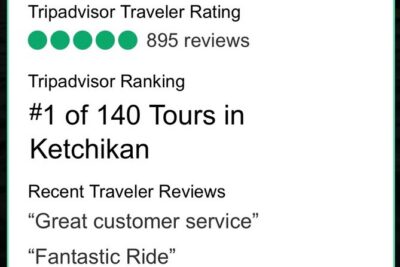 Ketchikan Electric Bike and Rain Forest Hike Ecotour - Transition Time: From Bike to Guided Nature Walk