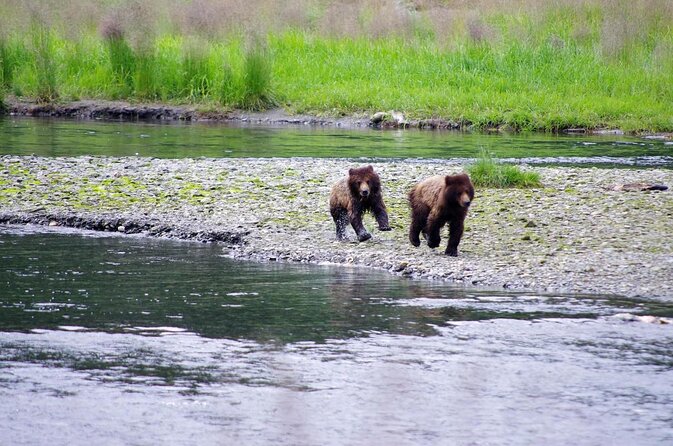 Ketchikan Kayak Eco-Tour - Key highlights worth planning around