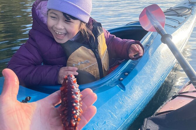 Ketchikan Kayak Eco-Tour - What you do out on the water: the route that’s shaped by sea life