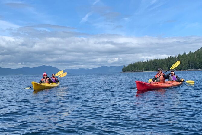 Ketchikan Kayak Eco-Tour - Bald eagles and a nest you can actually watch up close
