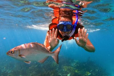 Key Largo Two Reef Snorkel Tour - All Snorkel Equipment Included! - Timing, Boarding, and What the 3 Hours Really Includes