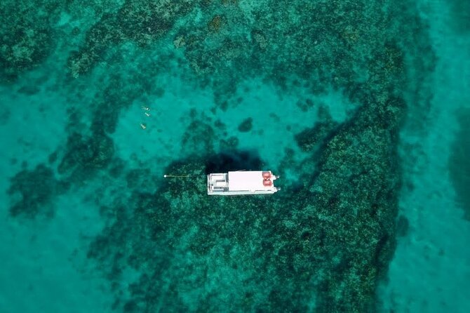Key Largo Two Reef Snorkel Tour - All Snorkel Equipment Included! - Florida Keys National Marine Sanctuary Stop: Finding Fish, Rays, and Turtles