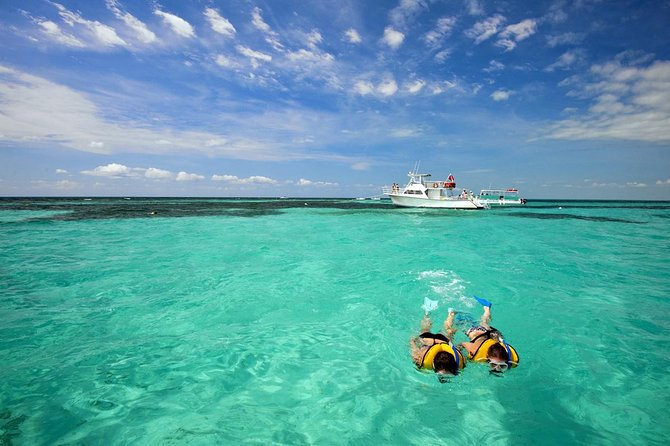 Key West Day Trip from Miami with Activities - Is this Key West day trip worth $39?