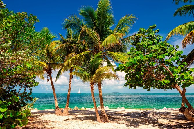 Key West Day Trip from Miami with Activities - Final verdict: should you book this Miami to Key West day trip?