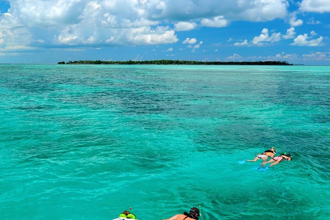 Key West Dolphin Watch and Snorkel Tour - Eco Adventure - What you’re really signing up for on this Key West water day