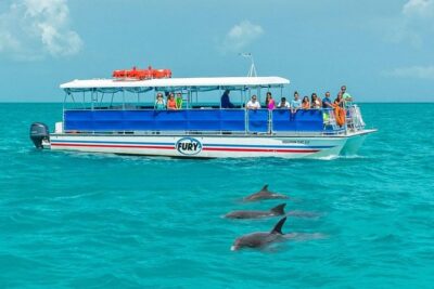 Key West Dolphin Watch and Snorkel Tour - Eco Adventure - Dolphin watch: how you get the best odds (and what to expect)