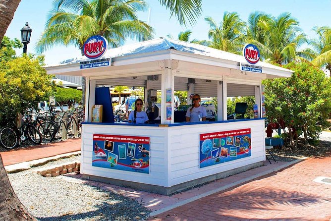 Key West Dolphin Watch and Snorkel Tour - Eco Adventure - Gear and what to bring: make it easy on yourself