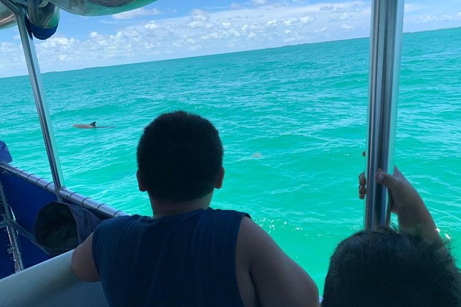 Key West Dolphin Watch and Snorkel Tour - Eco Adventure - Price and value: is $79.95 a fair deal?