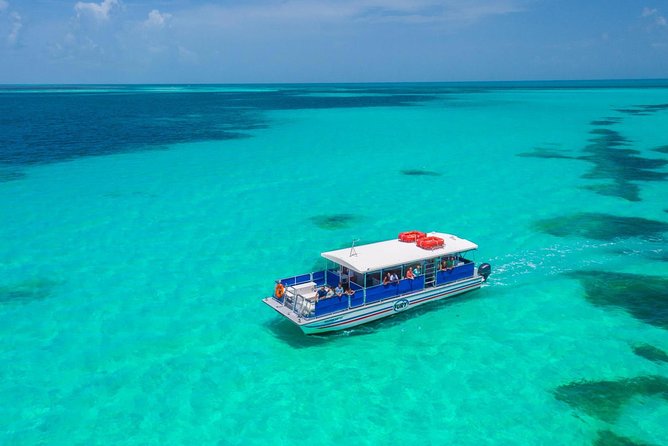 Key West Dolphin Watch and Snorkel Tour - Eco Adventure - Who should book this tour (and who might want a different snorkel)