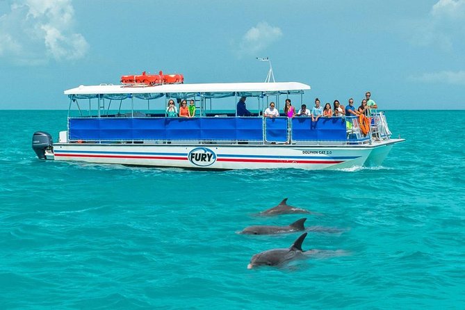 Key West Dolphin Watch and Snorkel Tour - Eco Adventure - Dolphin watch: how you get the best odds (and what to expect)