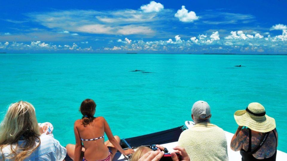 Key West: Dolphin Watching and Snorkeling Eco Cruise Tour - A 45-foot catamaran ride out of Key West that sets the tone fast