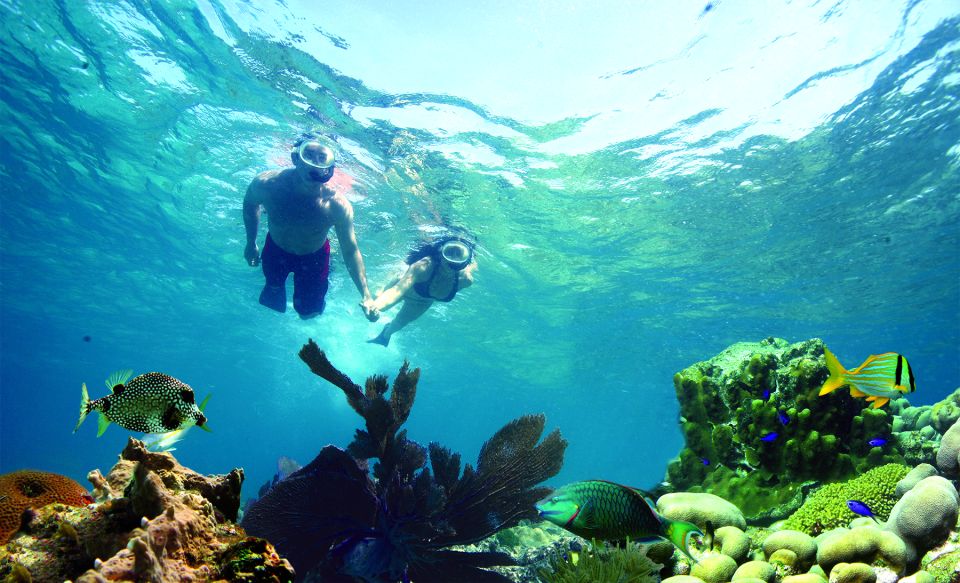 Key West: Dolphin Watching and Snorkeling Eco Cruise Tour - Snorkeling in the Keys backcountry: the part that depends on your swimming