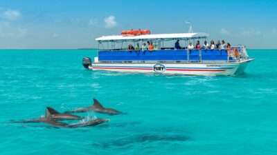 Key West: Dolphin Watching and Snorkeling Eco Cruise Tour - Dolphin watching in the Gulf: what you’re really paying for