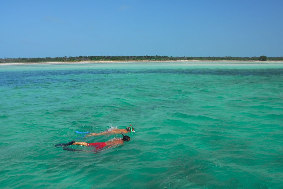 Key West: Dolphin Watching and Snorkeling Eco Cruise Tour - The return ride: drinks, shade, and a sunset that can steal the show