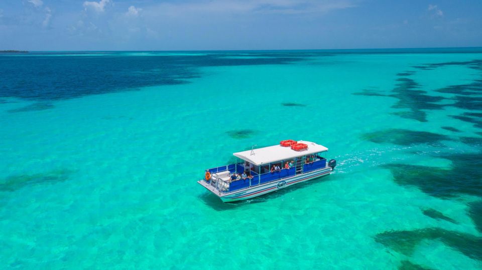 Key West: Dolphin Watching and Snorkeling Eco Cruise Tour - Who this tour fits best (and who should skip it)
