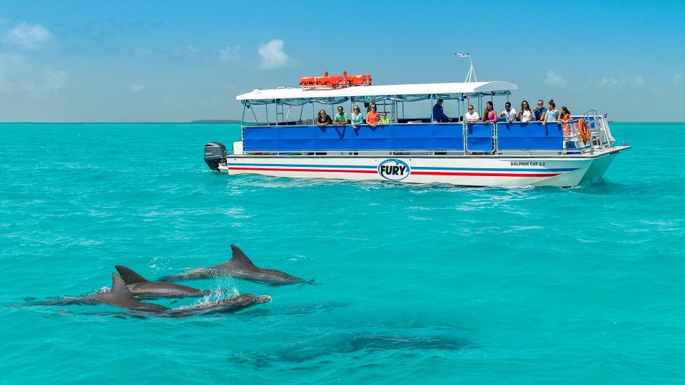 Key West: Dolphin Watching and Snorkeling Eco Cruise Tour - Dolphin watching in the Gulf: what you’re really paying for