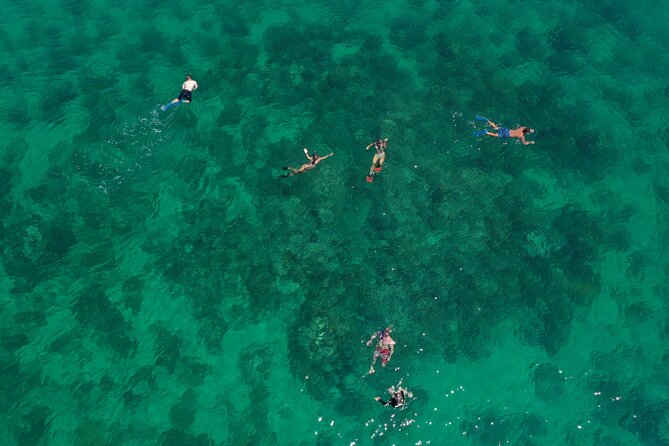 Key West Full-Day Ocean Adventure: Kayak, Snorkel, Sail - Sailing Through Key West National Wildlife Refuge: Where the Wildlife Shows Up