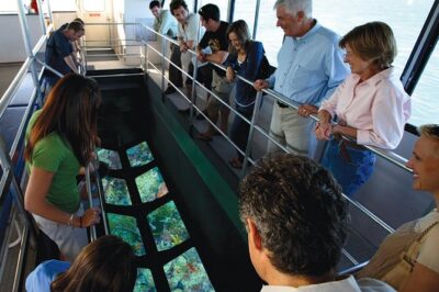 Key West Glass-Bottom Boat Tour with Sunset Option - Boat layout and where to sit for the best reef window