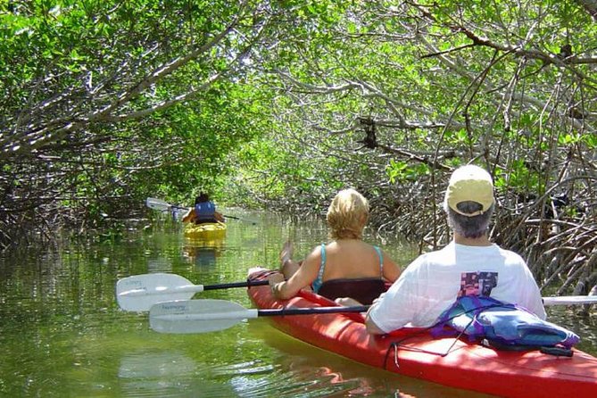 Key West Mangrove Kayak Eco Tour - Key points worth knowing