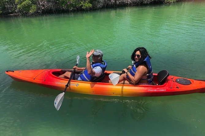 Key West Mangrove Kayak Eco Tour - Why the Key West mangroves feel different from open water