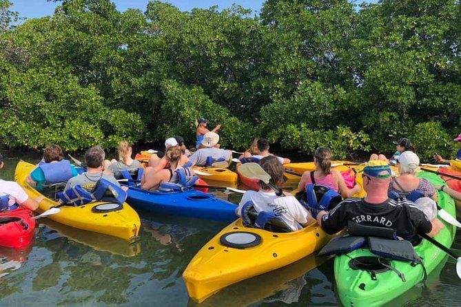 Key West Mangrove Kayak Eco Tour - Dog friendly kayaking: bringing your pup into the mangroves