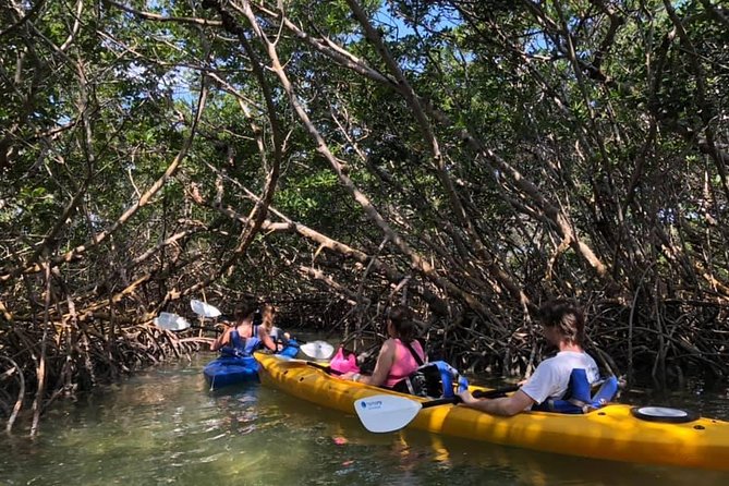 Key West Mangrove Kayak Eco Tour - Getting to the marina and getting comfortable fast