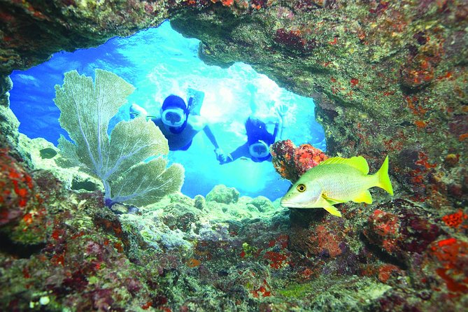 Key West Reef Snorkel – Morning Mimosas or Afternoon Margaritas - Quick hits before you go