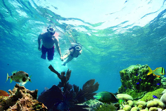 Key West Reef Snorkel – Morning Mimosas or Afternoon Margaritas - Where the tour starts at Opal Key Marina, and how to time it