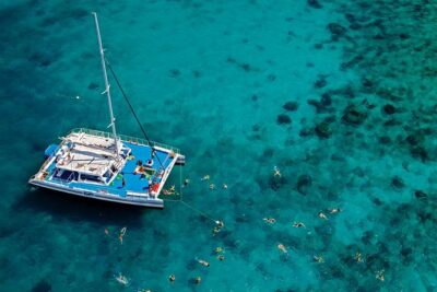 Key West Reef Snorkel – Morning Mimosas or Afternoon Margaritas - Morning mimosas vs afternoon margaritas: the drink plan that stays reasonable